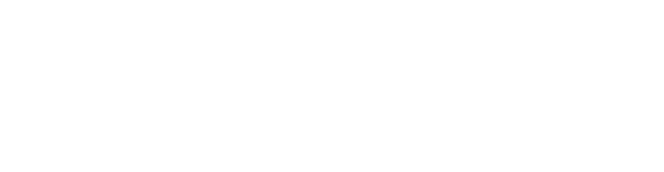 New Sun Adventures Header Logo